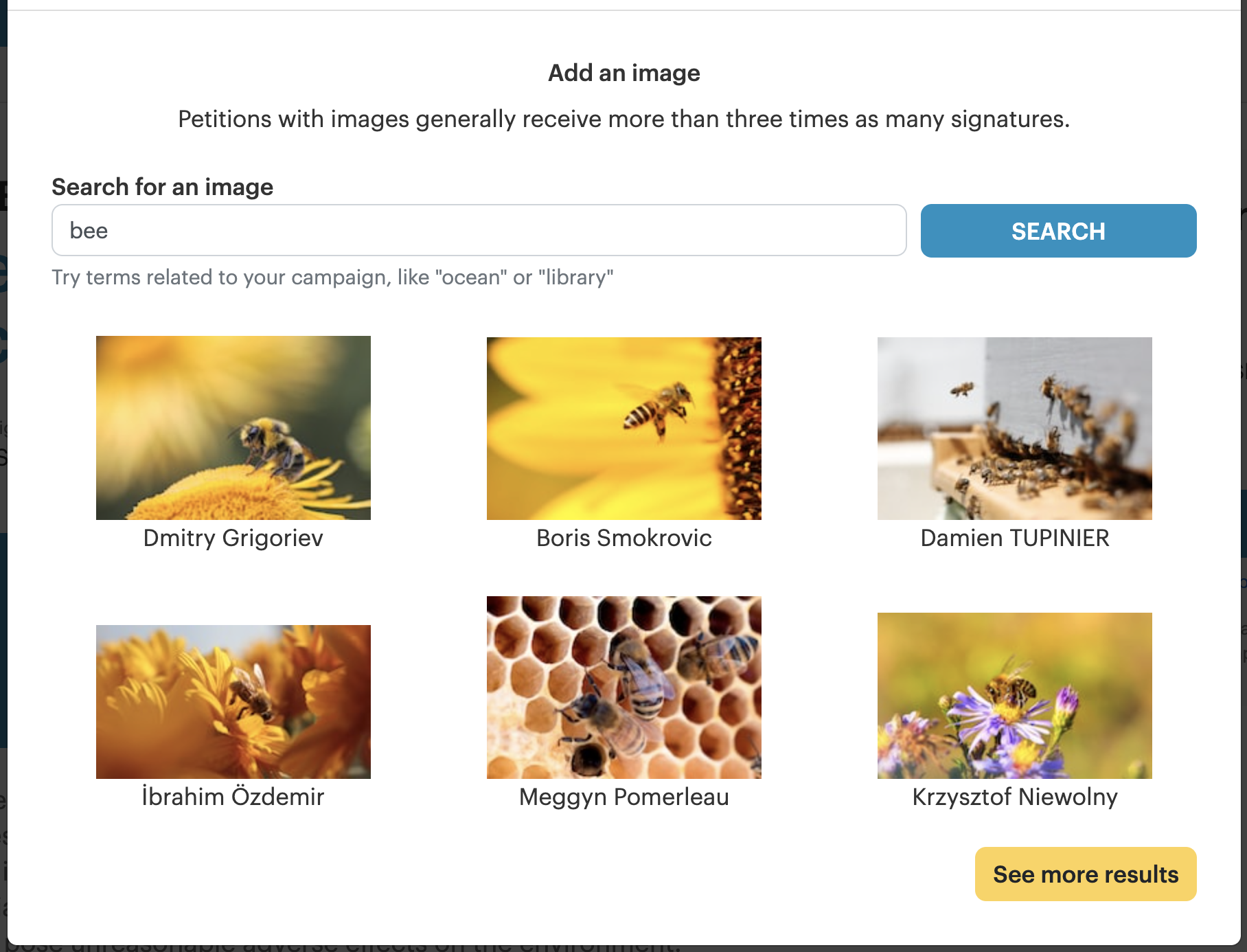 The free image library allows a leader to search for campaign images.